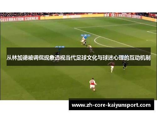 从林加德被调侃现象透视当代足球文化与球迷心理的互动机制