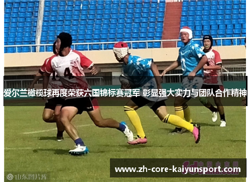 爱尔兰橄榄球再度荣获六国锦标赛冠军 彰显强大实力与团队合作精神