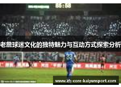 老詹球迷文化的独特魅力与互动方式探索分析