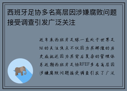西班牙足协多名高层因涉嫌腐败问题接受调查引发广泛关注 西班牙足协多名高层因涉嫌腐败问题接受调查引发广泛关注